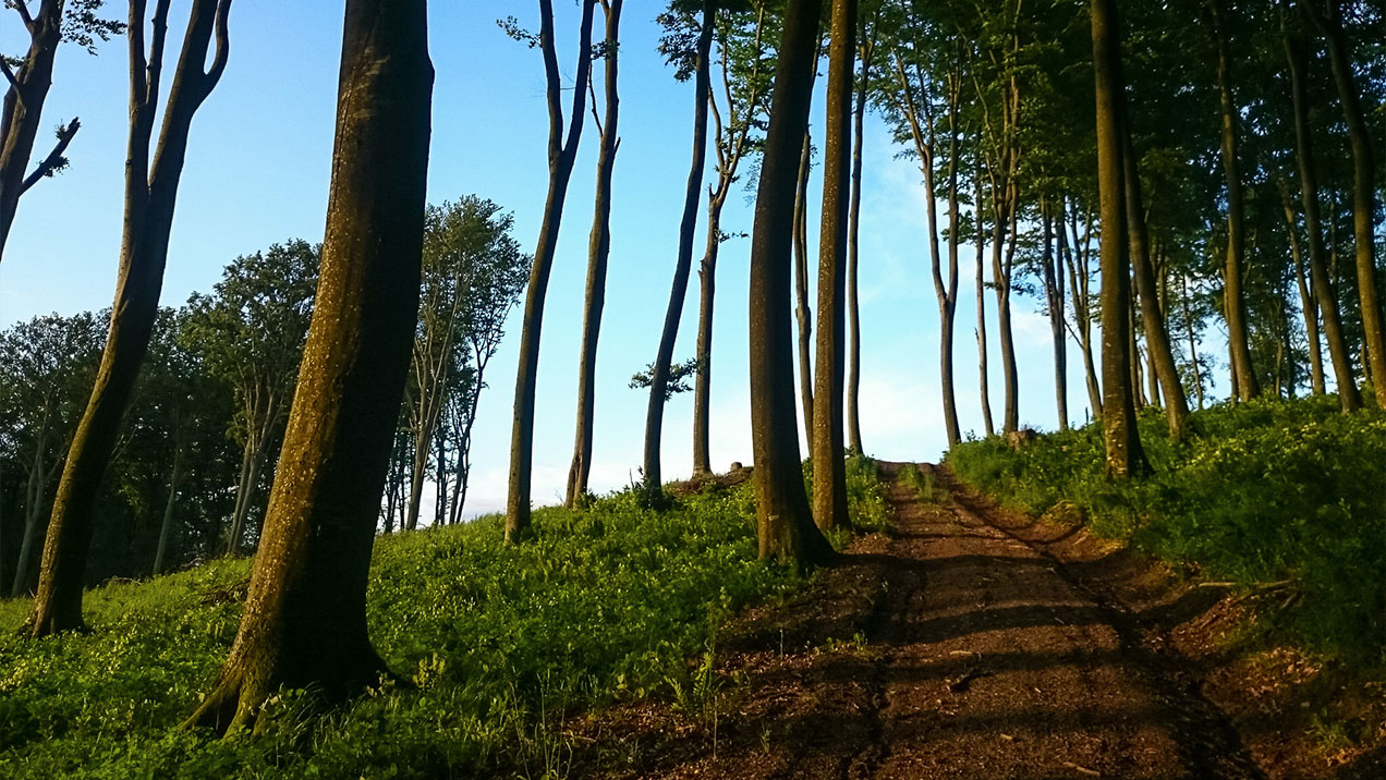 #296 • 2015. 05. 27. • Barlahida – Becsvölgye