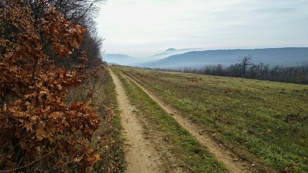#329 • 2015. 12. 05. • Nagykovácsi: Kecske-hát, Vörös-pocsolyás-hát