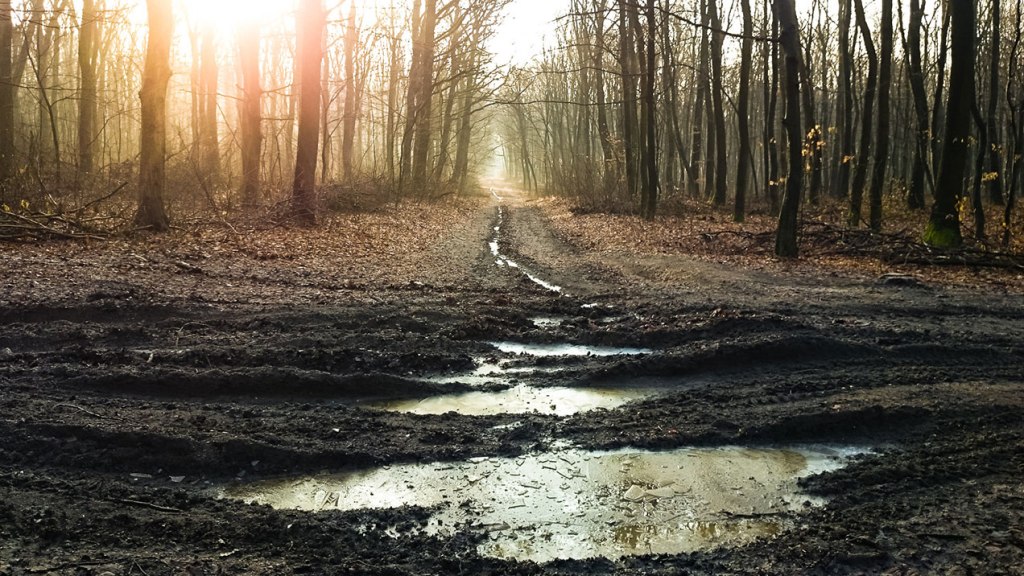 #337 • 2016. 01. 30. • Nagykovácsi: Homok-hegy –&nbsp;Telki