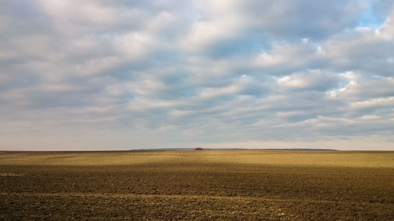 #341 • 2016. 02. 27. • Nagykovácsi – Perbál: Szerdahelyi-vágás, Zajnát-tető