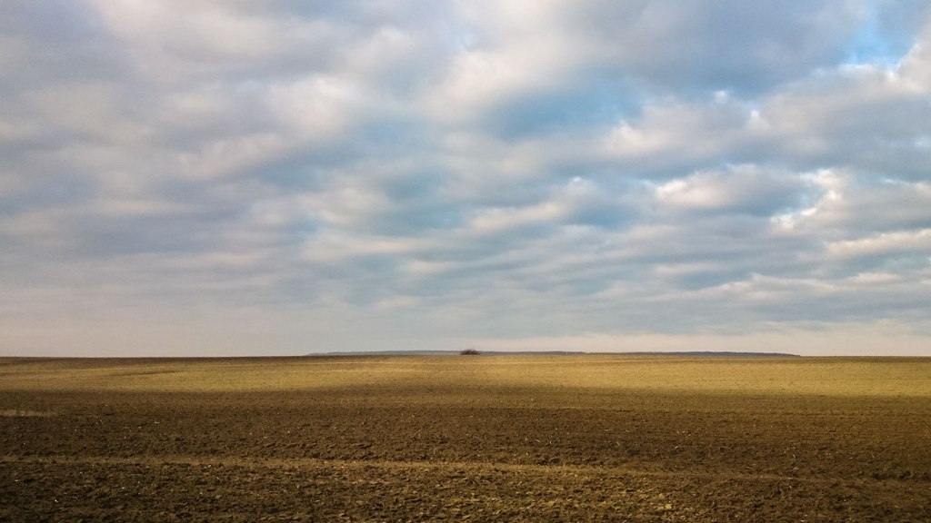 #341 • 2016. 02. 27. • Nagykovácsi – Perbál: Szerdahelyi-vágás, Zajnát-tető