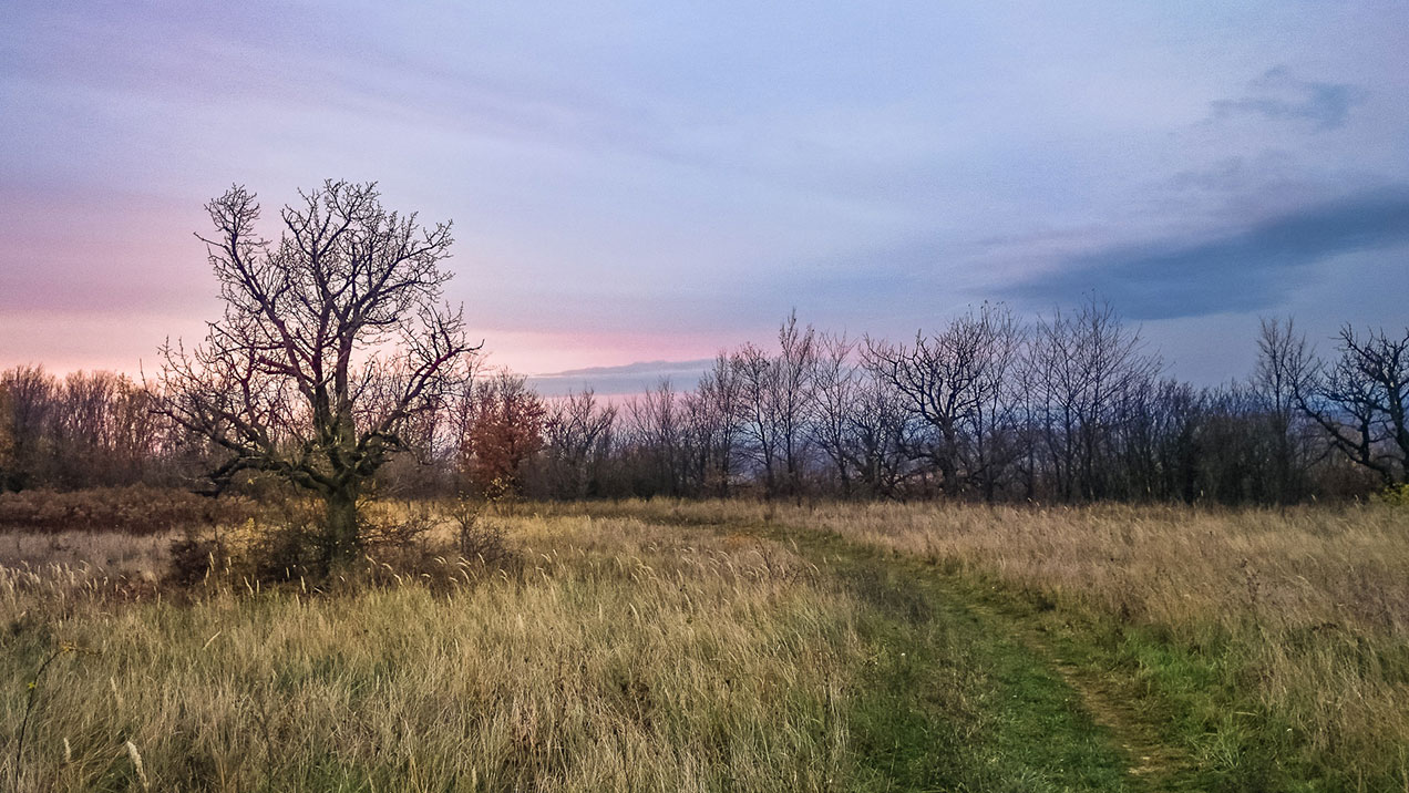 #326 • 2015. 11. 14. • Telki – Budajenő