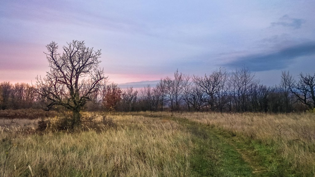 #326 • 2015. 11. 14. • Telki –&nbsp;Budajenő