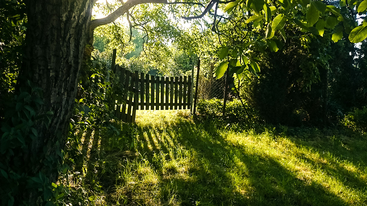 #299 • 2015. 06. 13. • Biatorbágy: Nyakas-kő, Dobogó-hegy