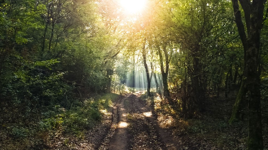 #319 • 2015. 10. 04. • Budakeszi: Fekete-hegyek, Hármas&nbsp;határ