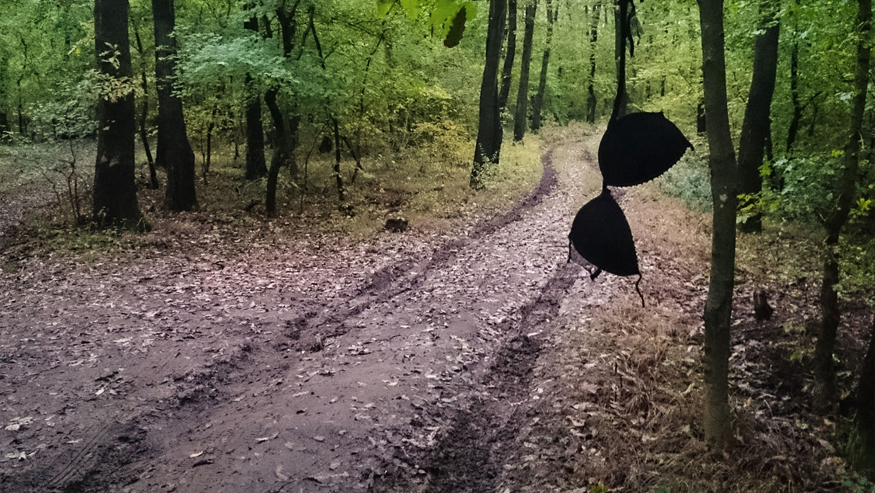 #321 • 2015. 10. 18. • Páty: Kopasz-hegy – Telki: Telki-hegy