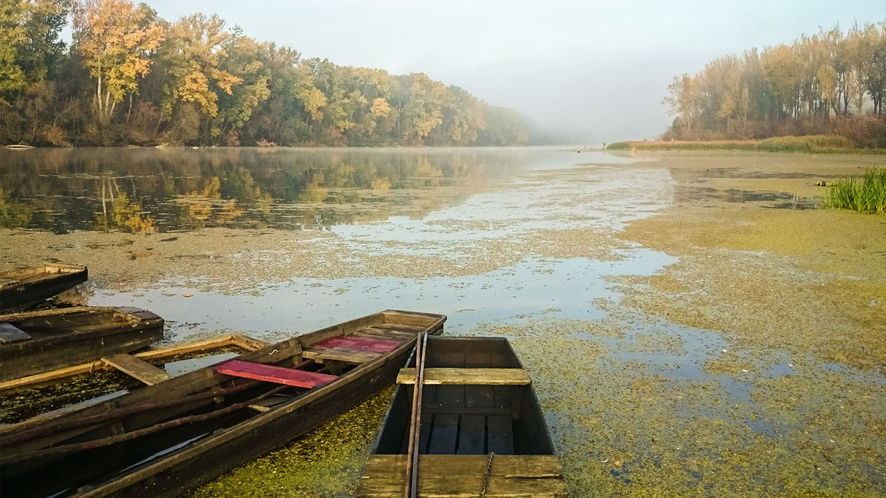 #322 • 2015. 10. 24. • Mindszent – Mártély