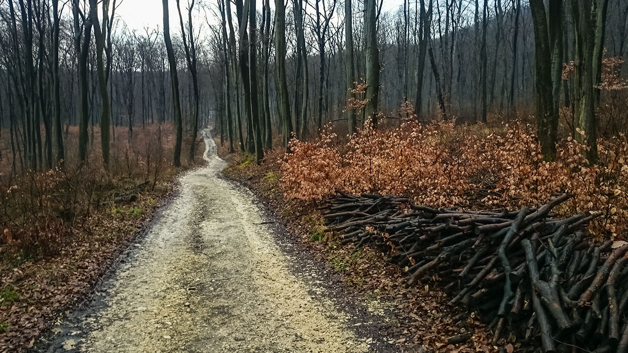 #342 • 2016. 03. 06. • Nagykovácsi: Nagy-Szénás, Kutya-hegy – Piliscsaba: Nádor-hegy