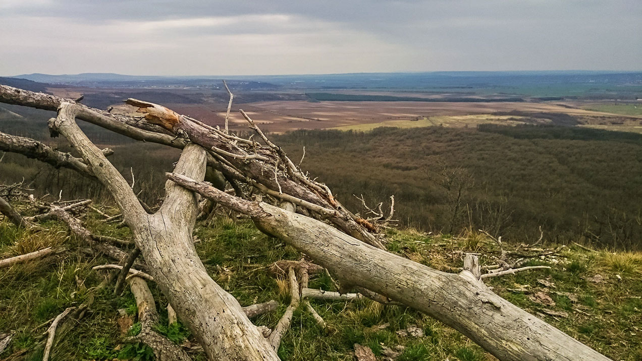 #343 • 2016. 03. 13. • Piliscsaba: Sós-hegy – Perbál: Zajnát-tető