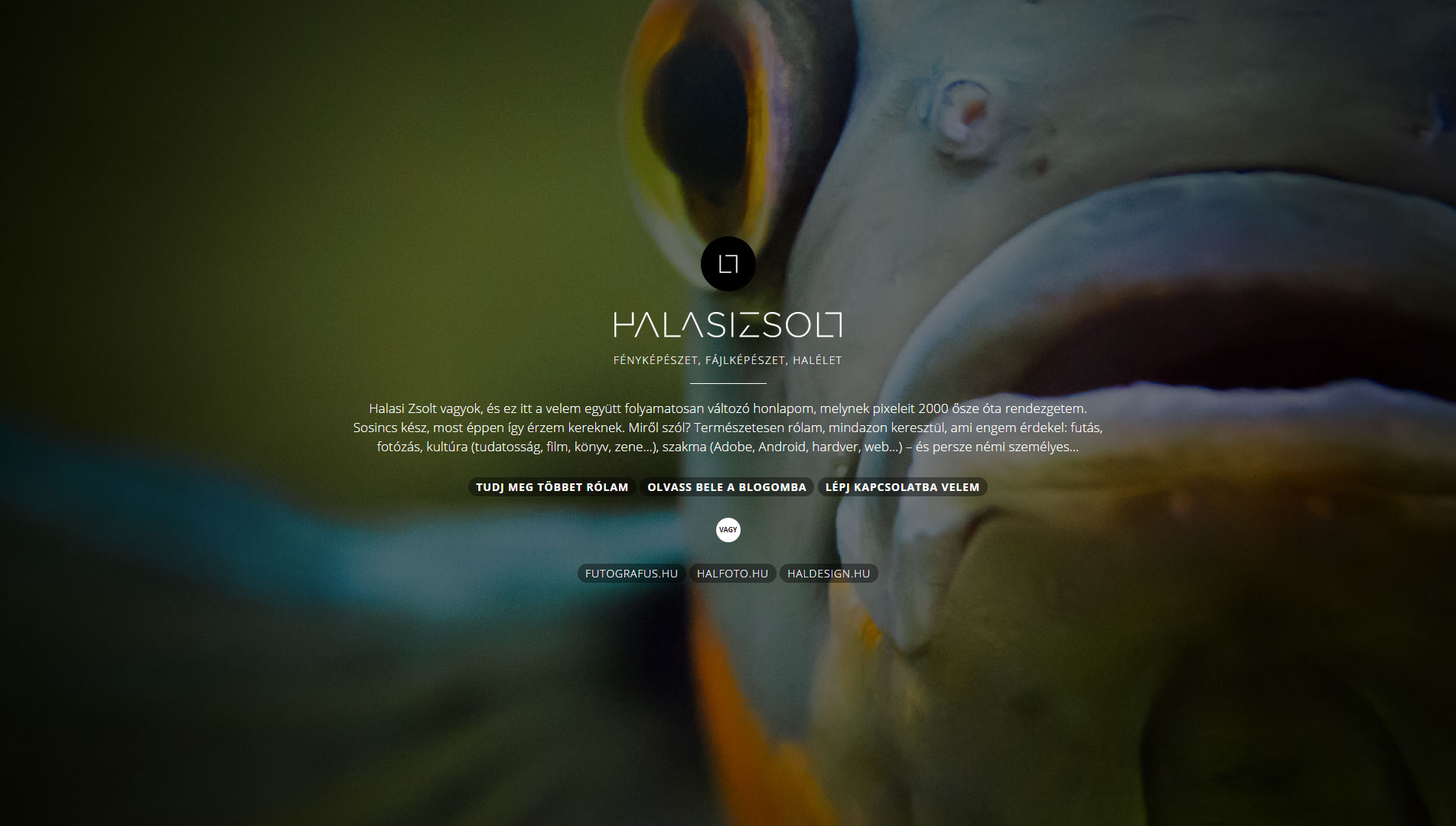 halasizsolt_hu