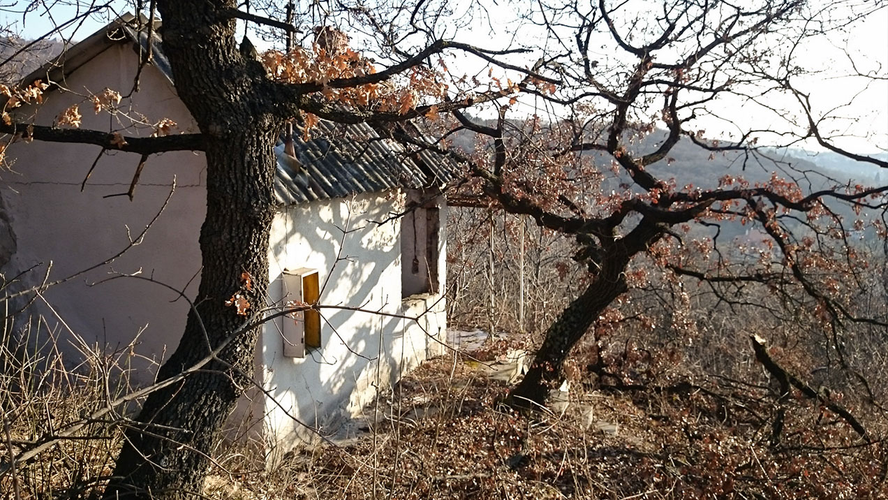 #281 • 2015. 03. 10. • Budapest: Csillebérc, Frank-hegy