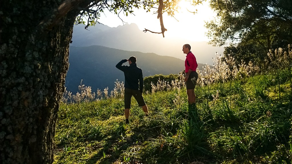 #348 • 2016. 04. 14. • Korzika: Partinello