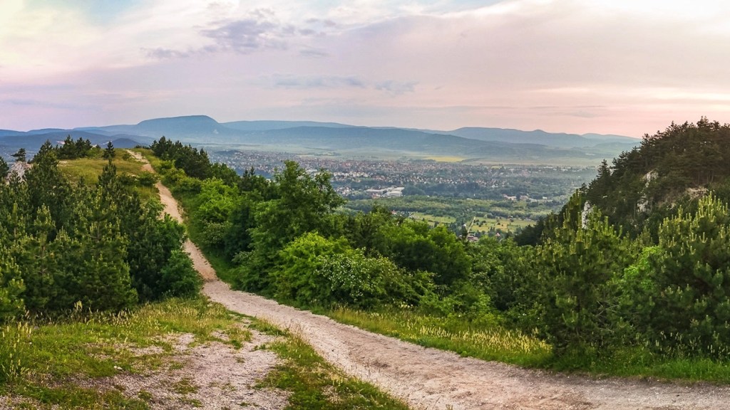 #354 • 2016. 05. 28. • Solymár: Sziklás-hegy, Alsó-Zsíros-hegy