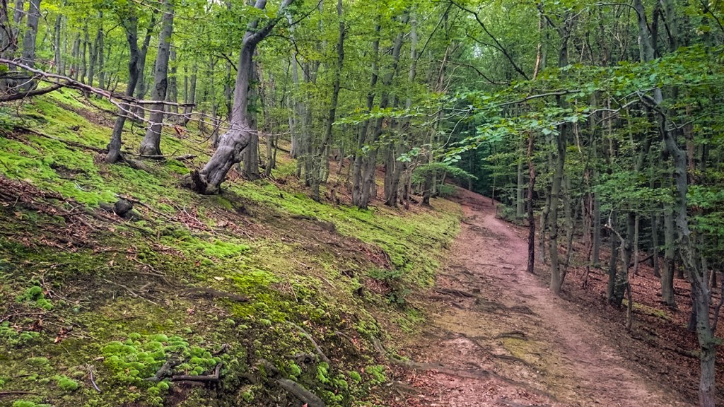 #236 • 2014. 08. 26. • Pécs: Jakab-hegy (Mecsek&nbsp;#02)