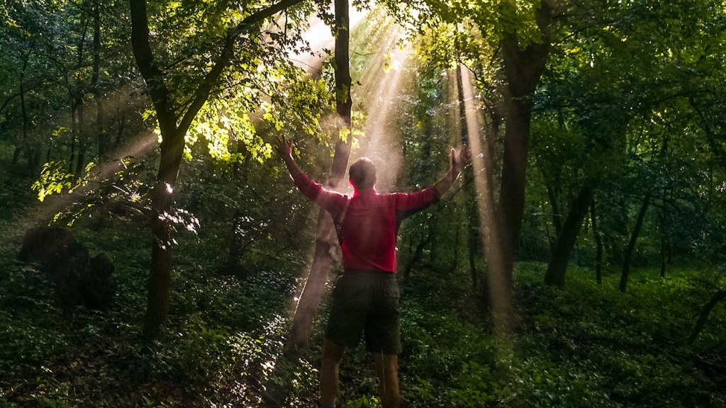 #355 • 2016. 06. 03. •  Törökbálint – Biatorbágy: Kő-hegy, Iharos-hegy,&nbsp;Közép-hegy