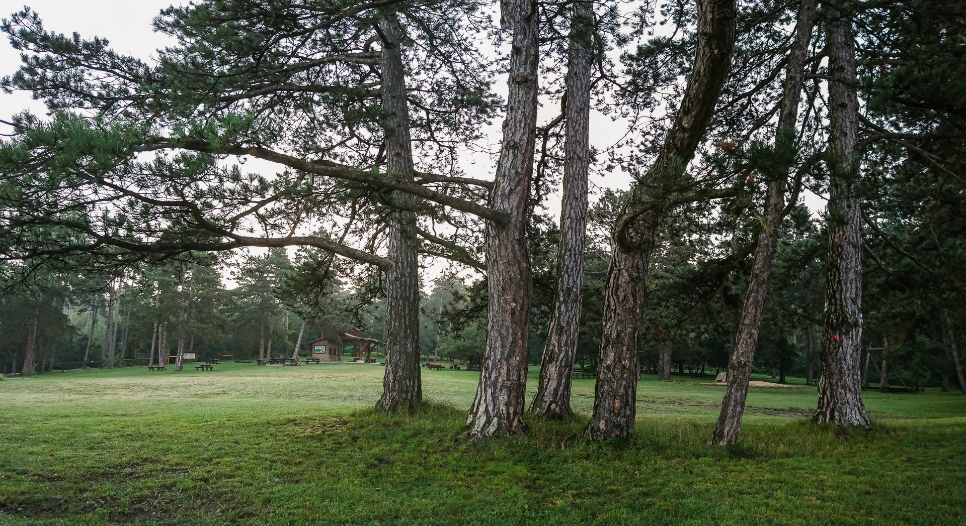 2016-08-20-46974-Pano