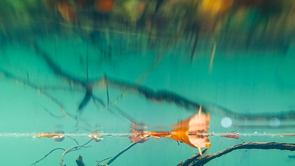 Lengyelország 2. nap (október&nbsp;2.)