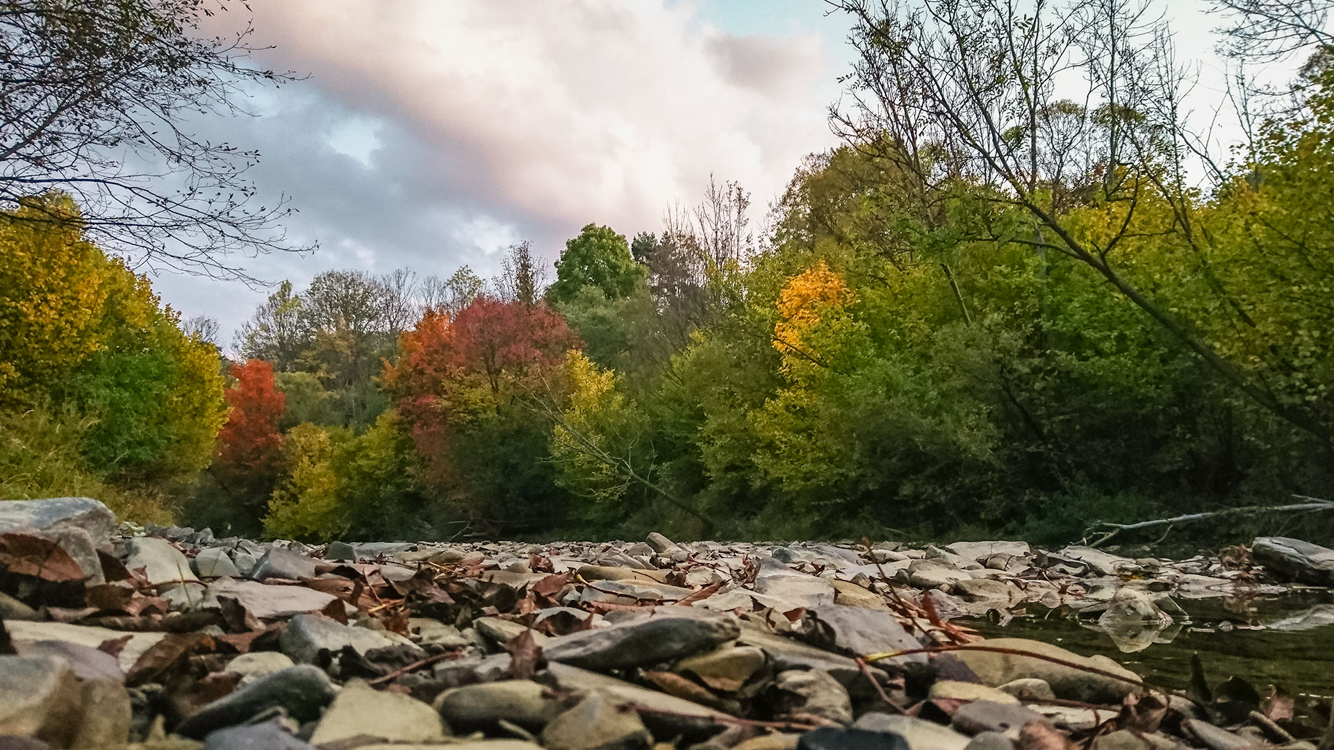 #367 • 2016. 10. 02. • Lengyelország: Smolnik