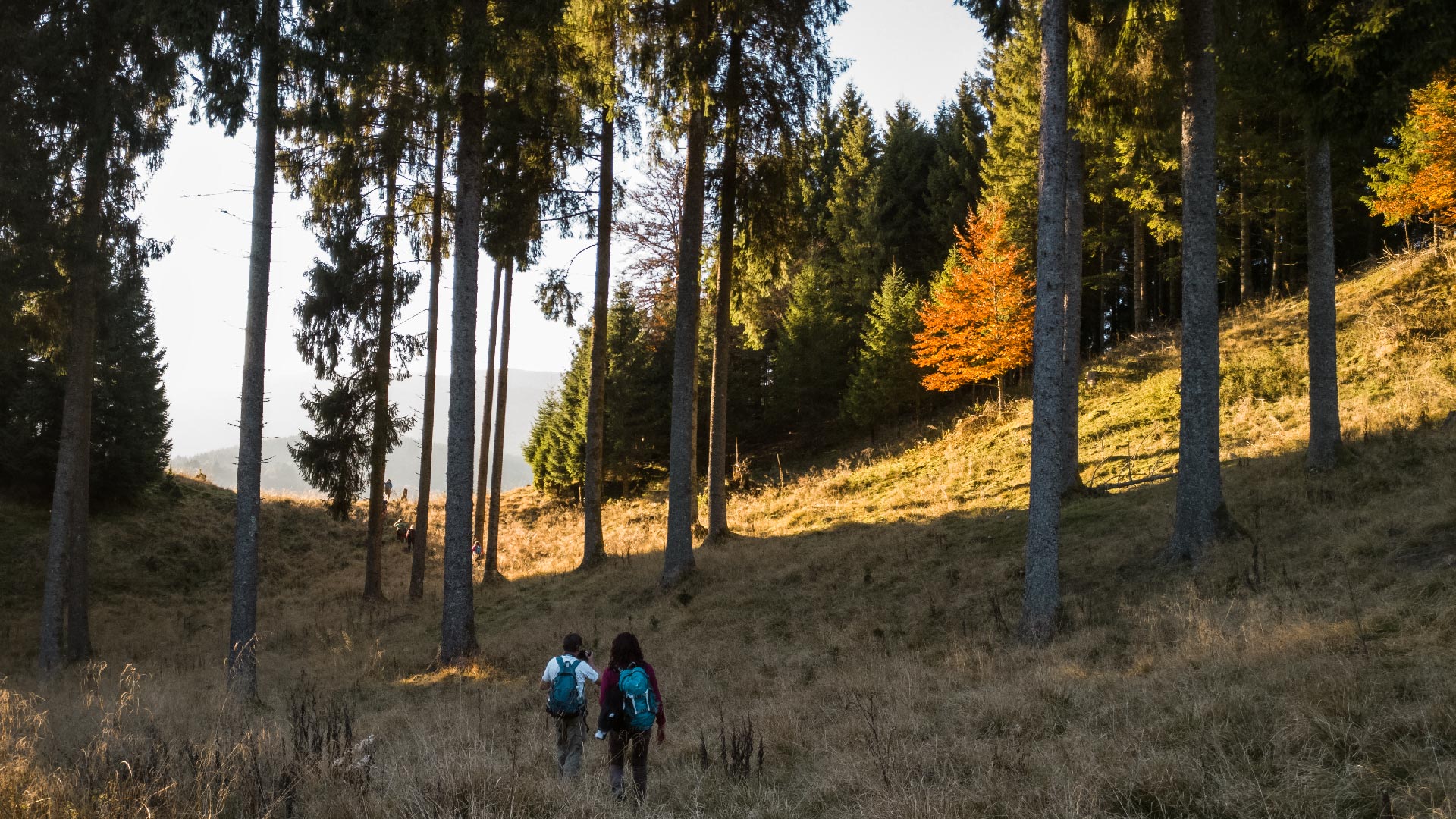 Olaszország, Déli-Dolomitok 3. nap (október 30.)