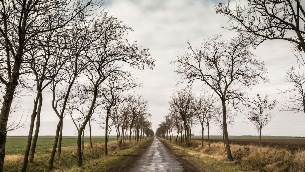 #377 • 2016. 12. 26. • Orosháza: Gyopárosfürdő –&nbsp;Árpádhalom