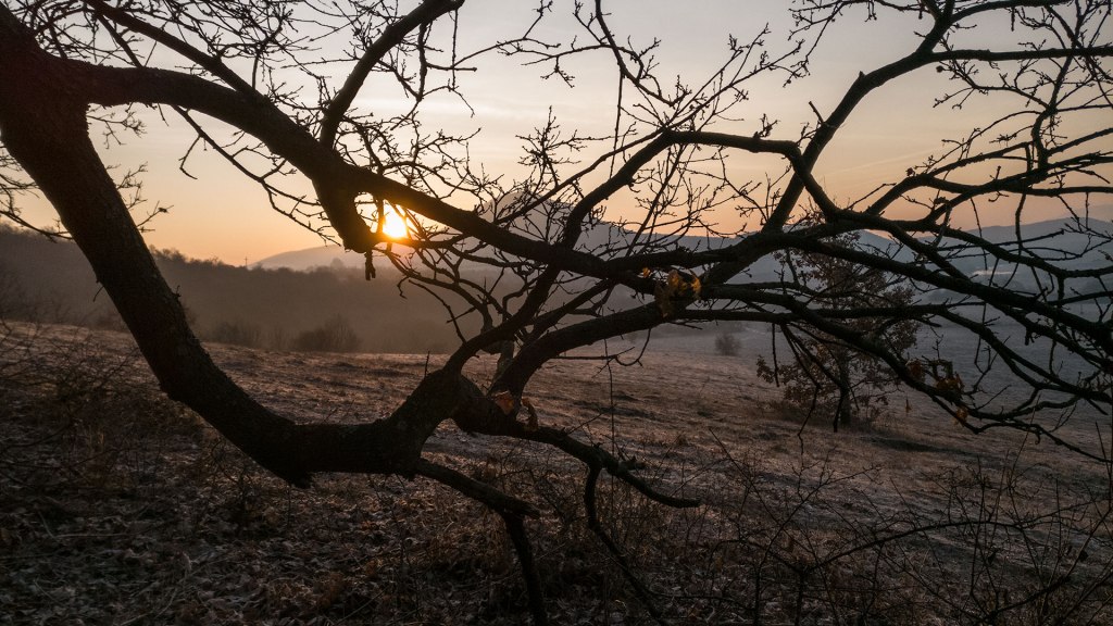 #383 • 2017. 02. 12. • Csobánka:&nbsp;Garancs