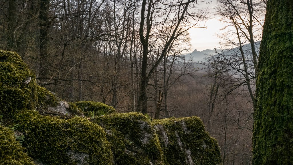 #389 • 2017. 03. 25. • Csesznek – Bakonyszentkirály: Zörög-tető