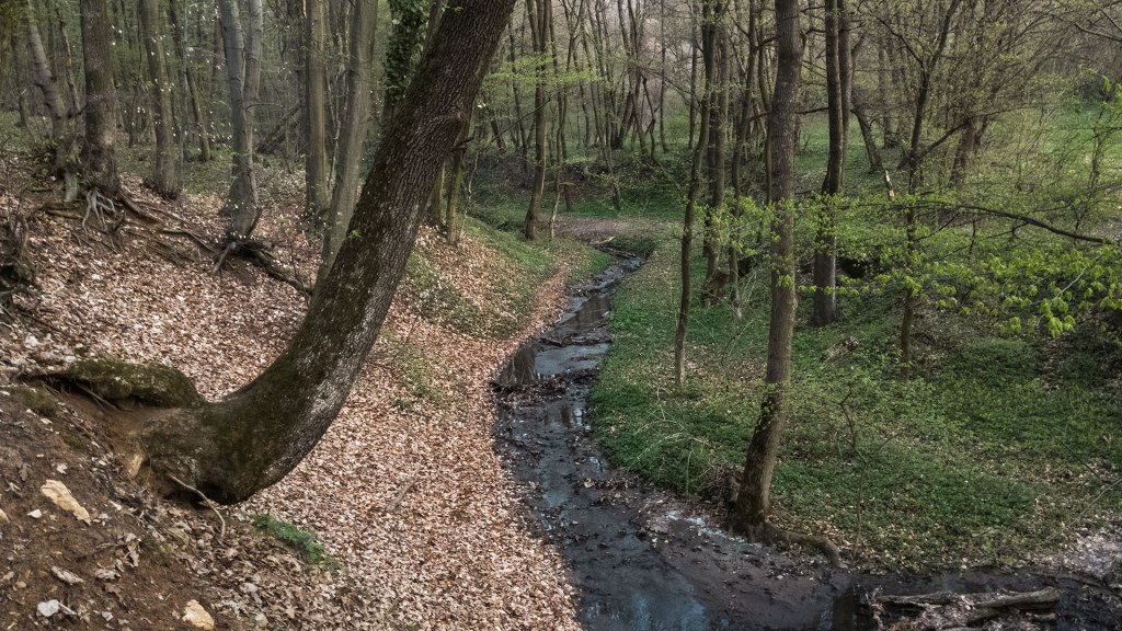 #390 • 2017. 04. 01. • Pilisszentkereszt – Pilisszántó: Hosszú-hegy –&nbsp;Csobánka