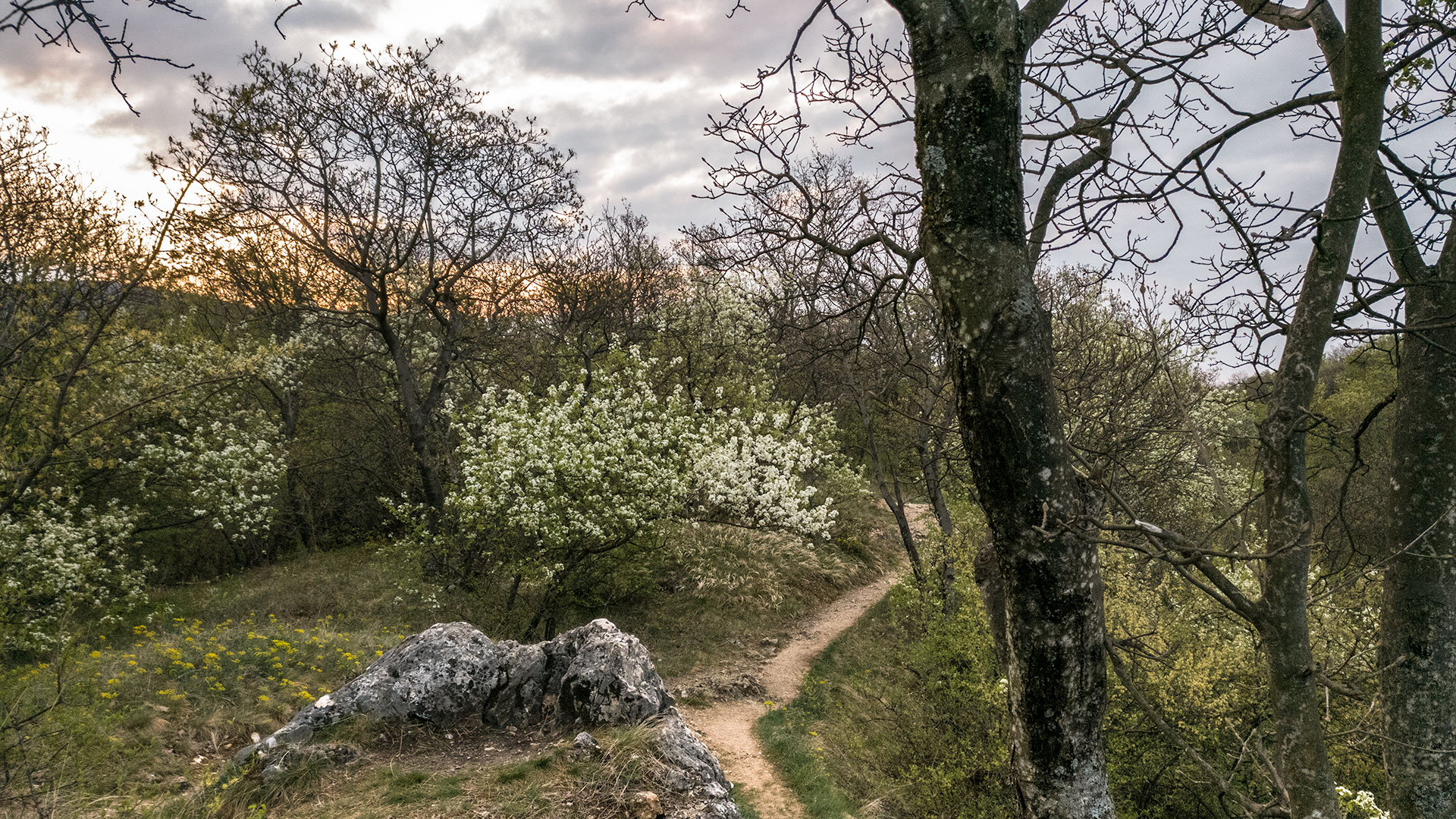 #391 • 2017. 04. 09. • Pilisszentkereszt: Dera-szurdok – Pilisszántó: Som-hegy, Hosszú-hegy – Csobánka