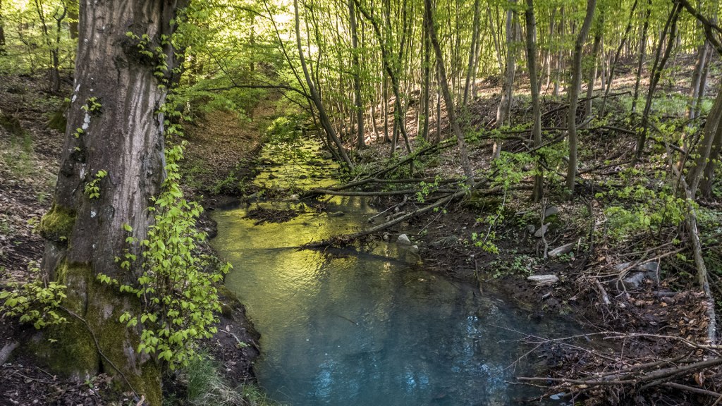 #394 • 2017. 05. 01. • Pomáz: Kopasz-hegy, Morgó, Hársas-hegy, Sikáros – Pilisszentkereszt