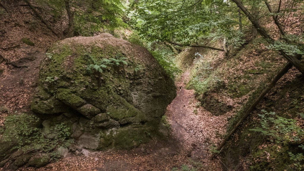 #400 • 2017. 06. 18. • Pomáz: Holdvilág árok,&nbsp;Pörgelőci