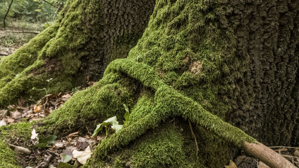 #408 • 2017. 08. 13. • Pomáz:&nbsp;Kő-hegy