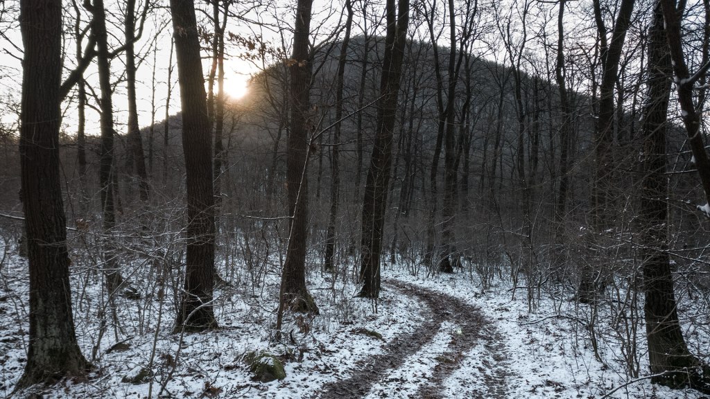 #428 • 2017. 12. 30. • Szentendre: Mély-mocsár – Leányfalu: Kis-Hortoba, Nagy-Berseg-hegy, Király-völgy