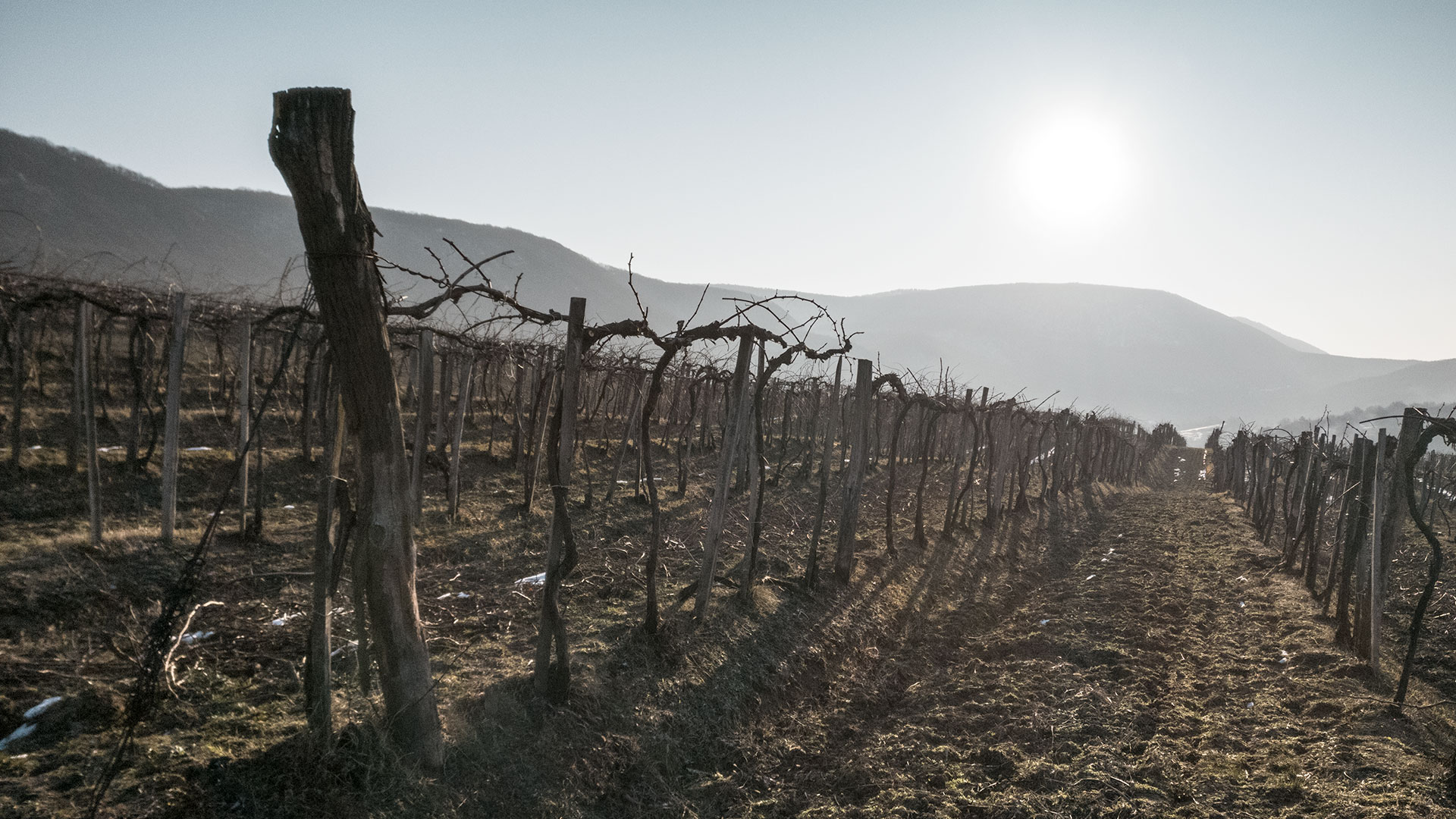 #436 • 2018. 02. 25. • Kesztölc: Patak-száj, Cseresznyés-hát, Szállás-berek, Lencsehegy