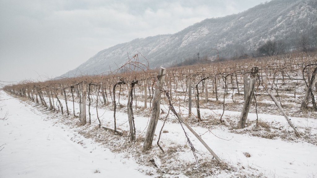 #437 • 2018. 03. 03. • Esztergom: Háromszáz-garádics – Kesztölc: Rada-rét, Kis-hegy,&nbsp;Tündér-barlang