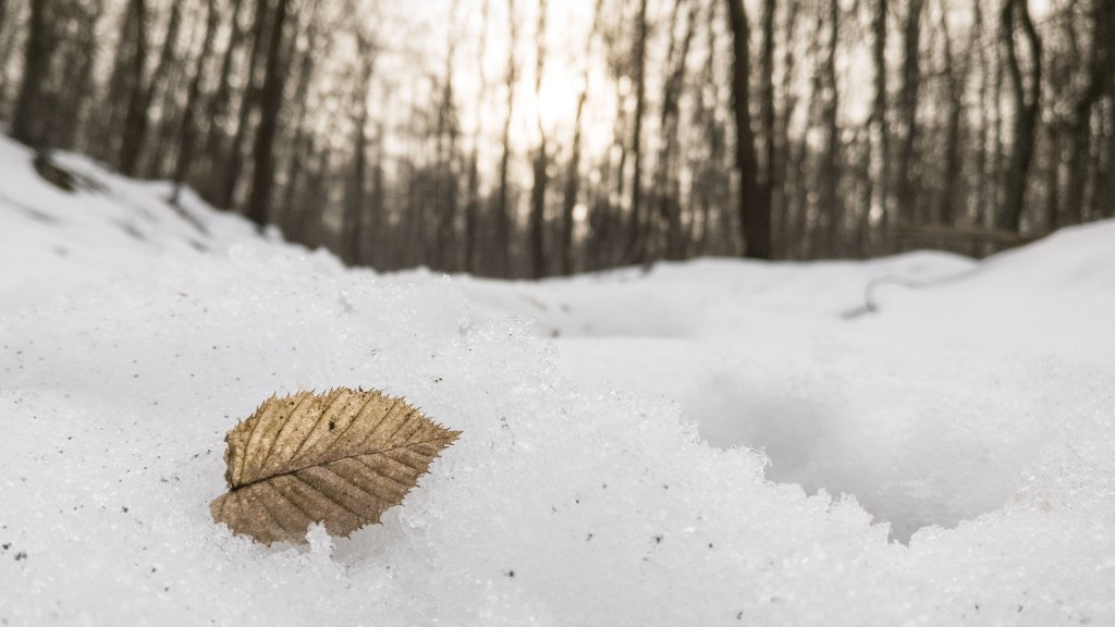#438 • 2018. 03. 10. • Esztergom: Fekete-hegy – Kesztölc:&nbsp;Borostás-hegy