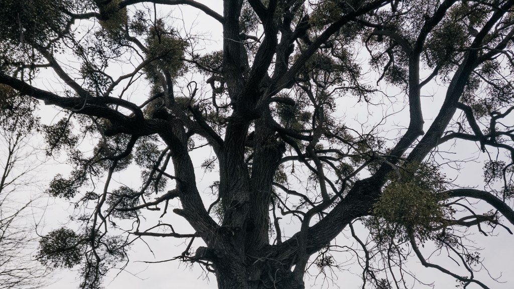 #442 • 2018. 04. 07. • Csesznek: Gézaháza,&nbsp;Károlyháza