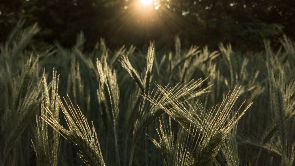 #449 • 2018. 05. 27. • Pilisszántó –&nbsp;Piliscsév