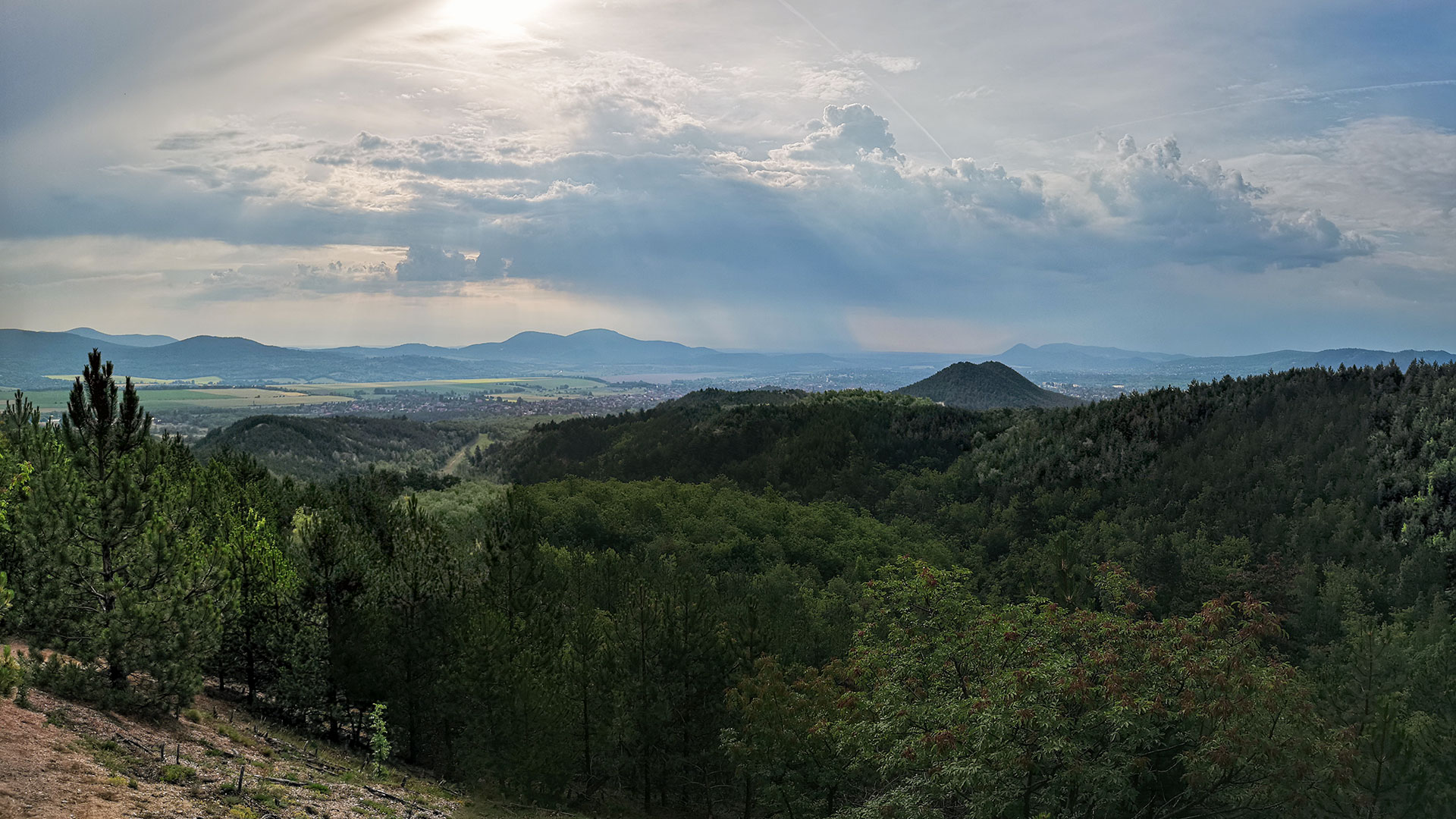 #450 • 2018. 06. 02. • Pilisvörösvár: Zajnát-hegyek, Őr-hegy