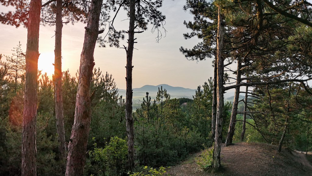 #451 • 2018. 06. 10. • Pilisvörösvár: Zajnát-hegyek – Piliscsaba:&nbsp;Széna-hegy