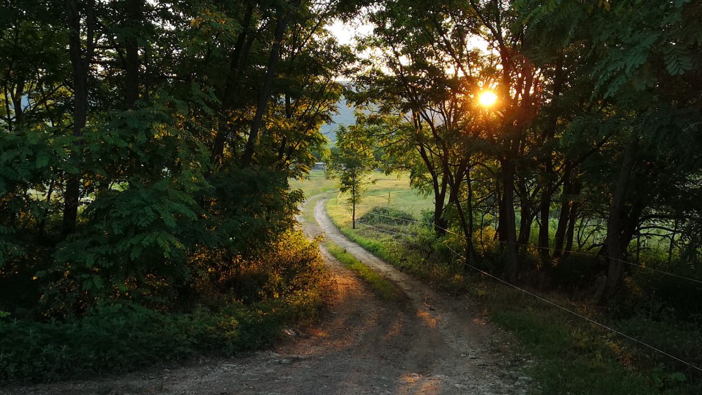 #452 • 2018. 06. 17. • Pilisvörösvár: Fehér-hegy,&nbsp;Cseresznyés