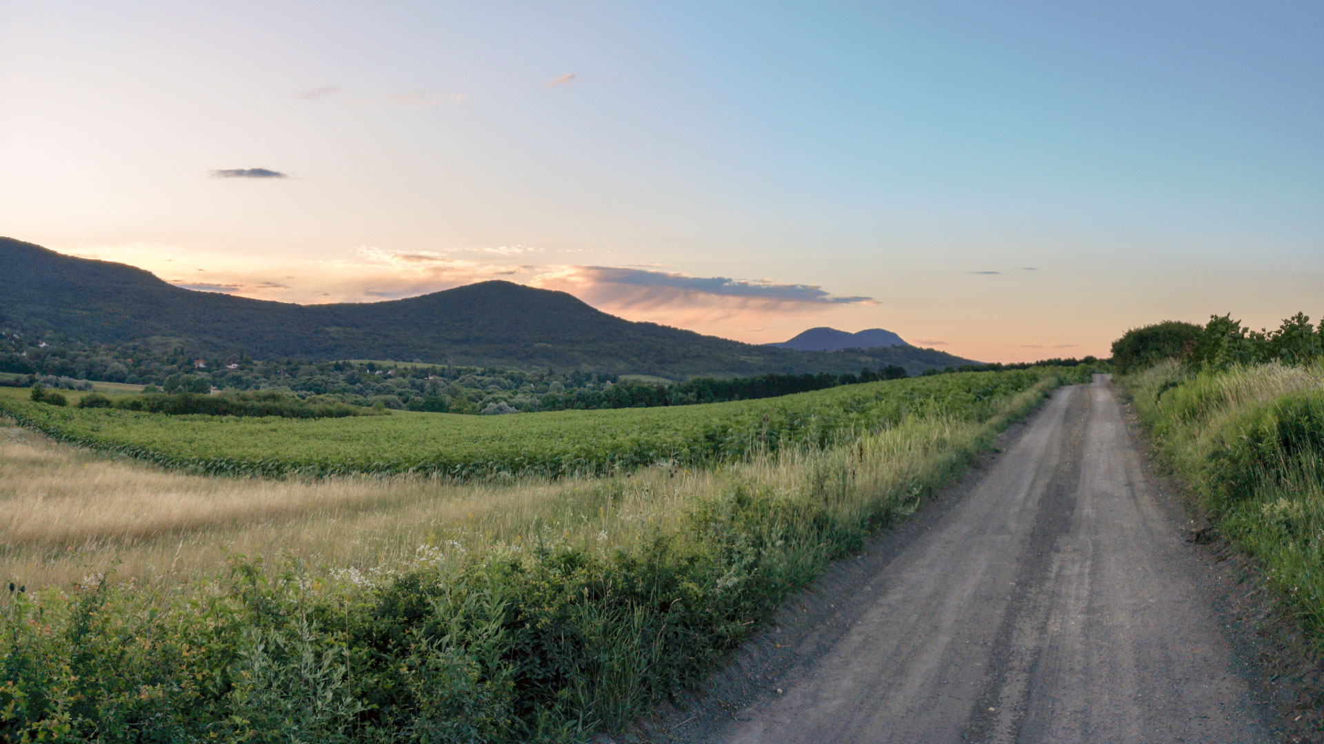 #453 • 2018. 06. 23. • Pilisvörösvár: Klotild-barlang, Öreg-földek