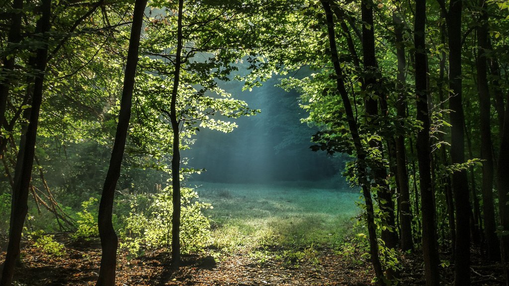 #466 • 2018. 09. 09. • Pilisszentkereszt: Fagyos-Katona, Peres, Dobogókő, Kakas-hegy, volt „SÉTÁNY” LÉRAkos&nbsp;laktanya