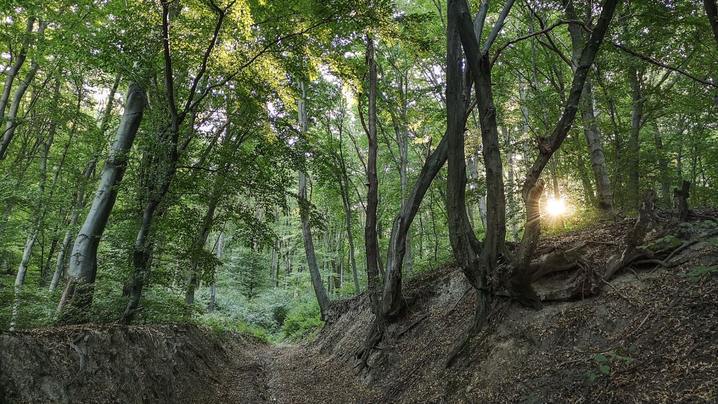 #469 • 2018. 09. 30. • Esztergom: Pilisszentlélek, Pálos kolostor, Suller-hegy, Szentléleki-tető –&nbsp;Pilismarót