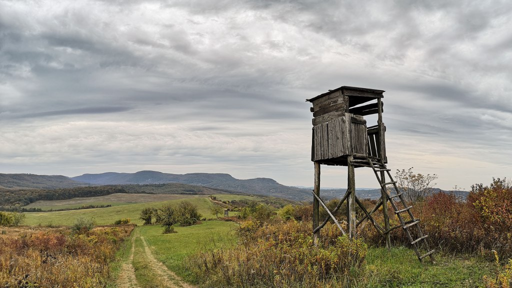 #473 • 2018. 10. 28. • Esztergom: Kincses-hegy, Hegymeg, Vaskapu-erdő,&nbsp;Felsőkenderes