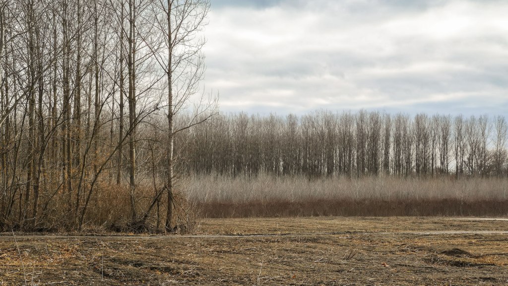 #482 • 2018. 12. 26. •&nbsp;Szeged