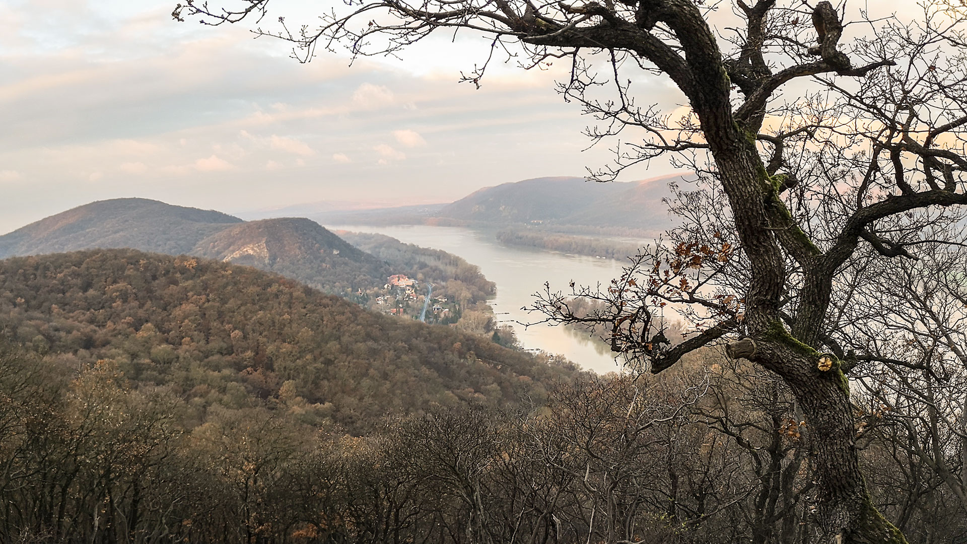 #483 • 2018. 12. 29. • Pilismarót: Közép-hegy – Esztergom: Sas-hegy, Hosszú-hegy, Vasarc, Őrhegy