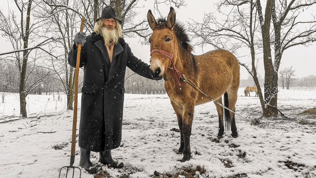 #486 • 2019. 01. 20. • Pilismarót: Basaharci-vízfolyás, Szobi rév, Tóközi-dűlő, Homoki-szőlők, Pilismaróti-öböl