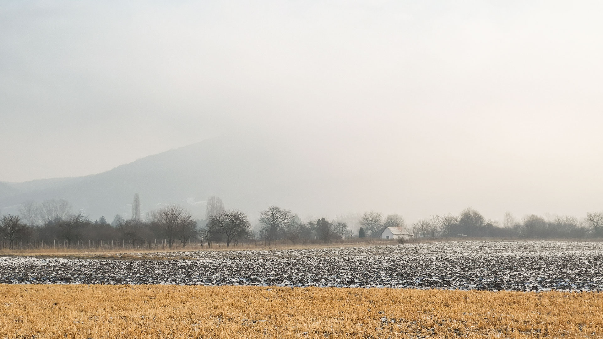 #487 • 2019. 01. 27. • Pilismarót: Sásrét