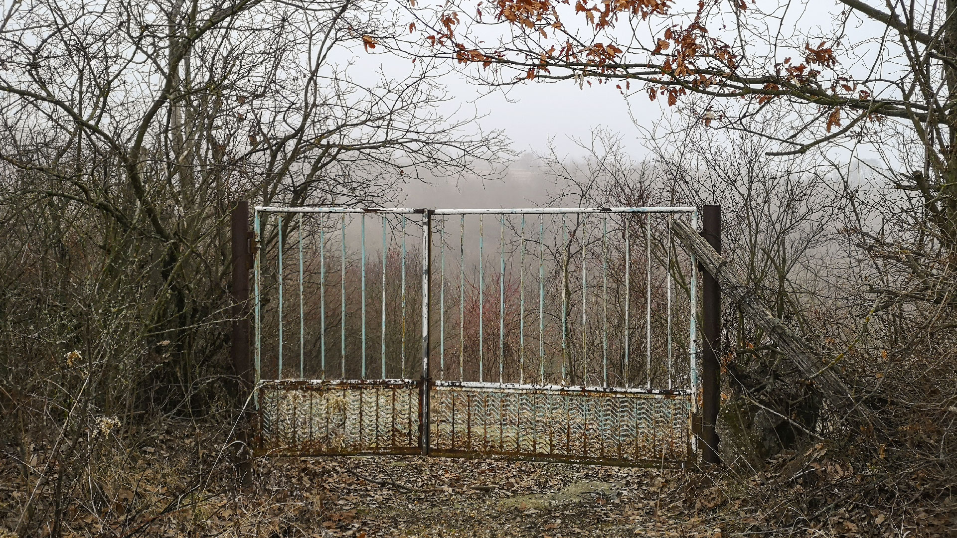 #489 • 2019. 02. 10. • Pilismarót: Zagrajt, Bonc-hegy, Ó-hegy