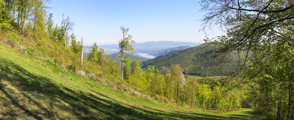 #499 • 2019. 04. 21. • Dömös: Gyertyános – Pilisszentlászló: Ispán-rét